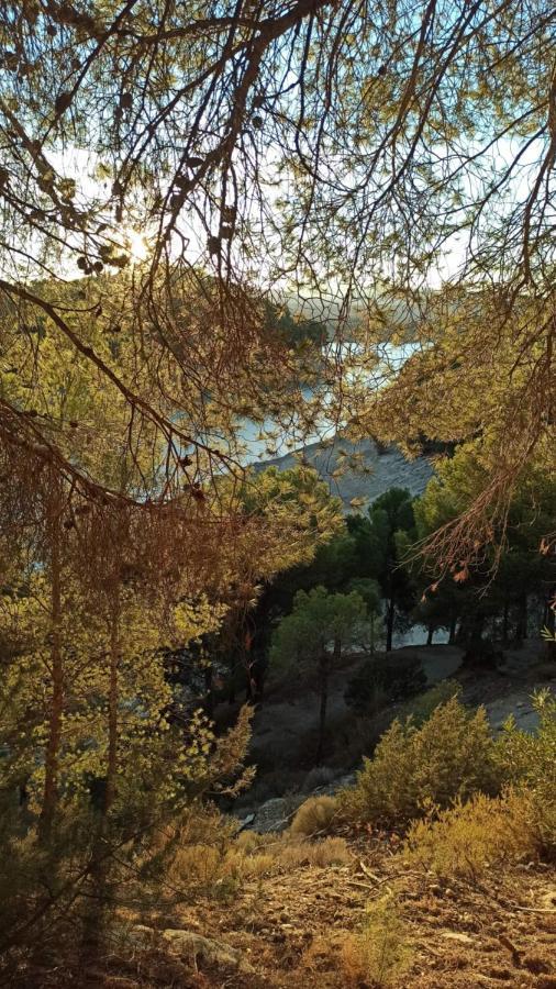 Ardales House Villa Málaga Dış mekan fotoğraf